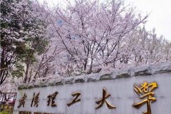 廣東MBA考研調(diào)劑武漢理工大學(xué)有什么條件？