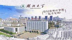 廣東MBA考研調(diào)劑湖北大學(xué)有什么條件？